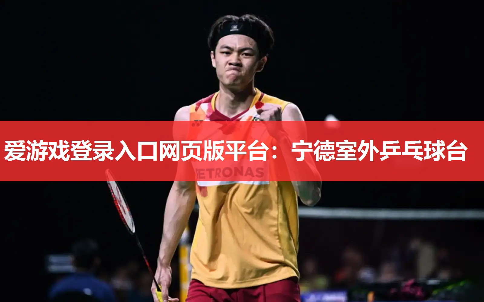 爱游戏登录入口网页版平台：宁德室外乒乓球台