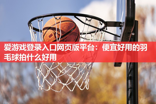 爱游戏登录入口网页版平台：便宜好用的羽毛球拍什么好用