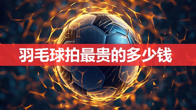 羽毛球拍最贵的多少钱