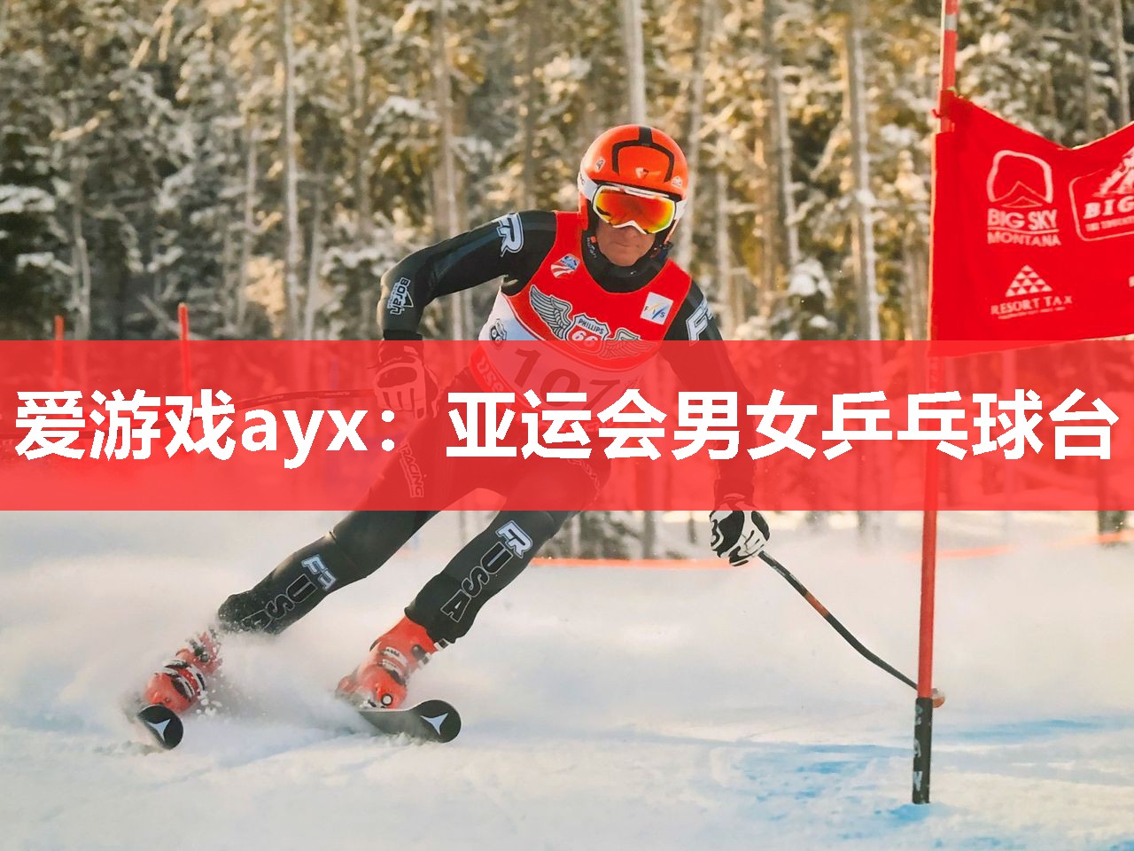 亚运会男女乒乓球台 亚运会男女乒乓球台