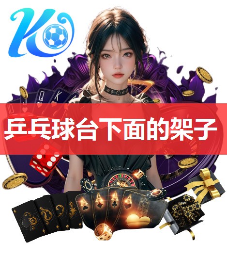 乒乓球台下面的架子 乒乓球台下面的架子