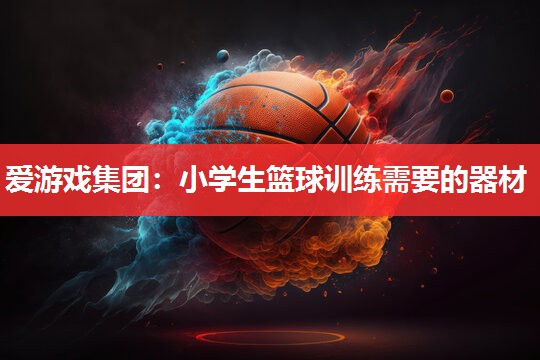 小学生篮球训练需要的器材 小学生篮球训练需要的器材