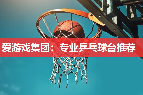 专业乒乓球台推荐 专业乒乓球台推荐