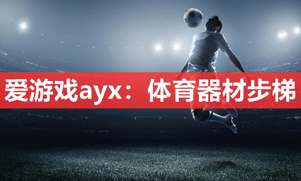 体育器材步梯 体育器材步梯