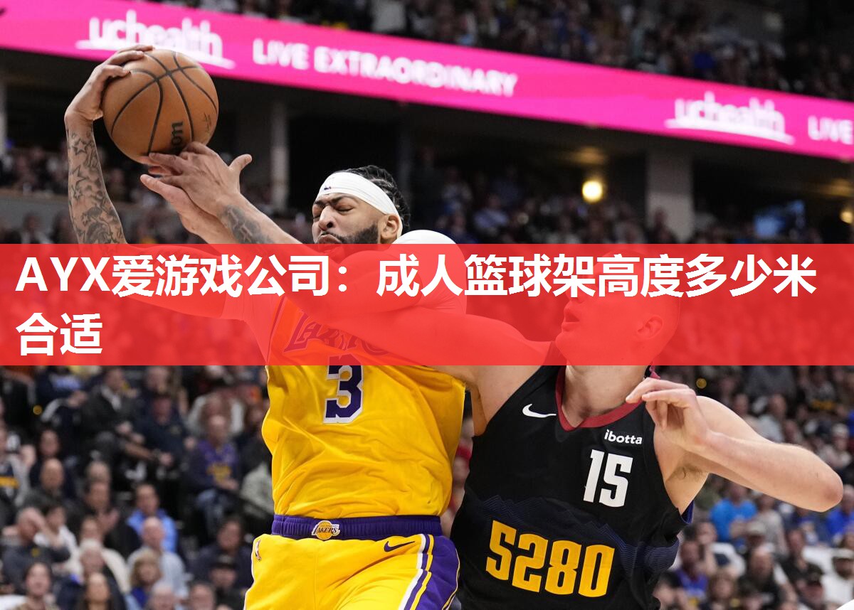成人篮球架高度多少米合适 成人篮球架高度多少米合适