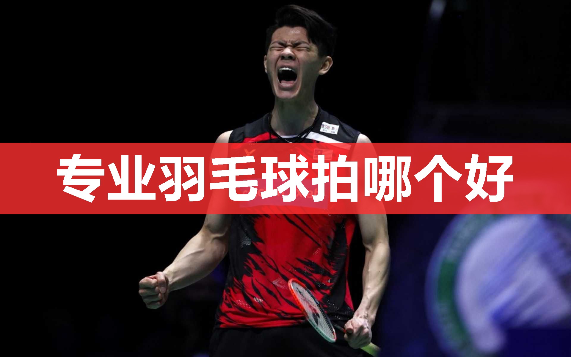 专业羽毛球拍哪个好 专业羽毛球拍哪个好