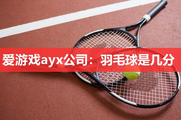羽毛球是几分 羽毛球是几分