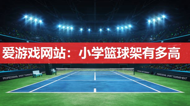 小学篮球架有多高 小学篮球架有多高