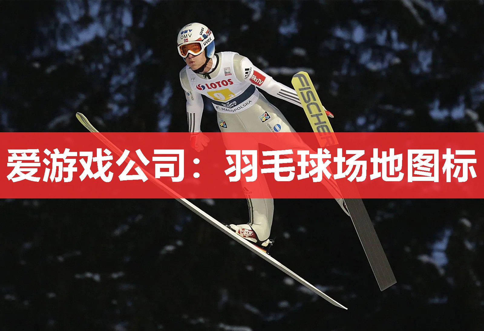 羽毛球场地图标 羽毛球场地图标