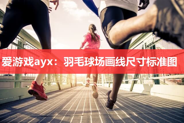 羽毛球场画线尺寸标准图 羽毛球场画线尺寸标准图
