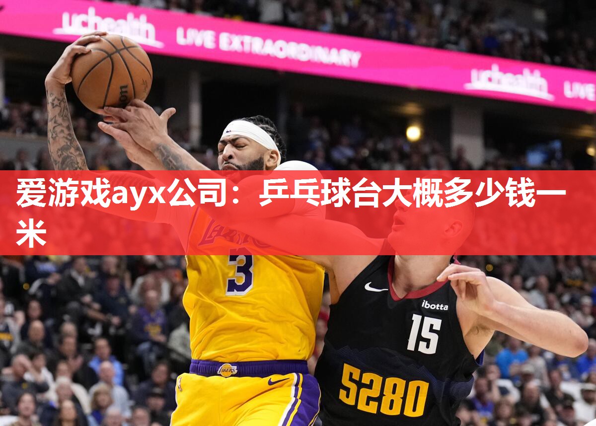 乒乓球台大概多少钱一米 乒乓球台大概多少钱一米