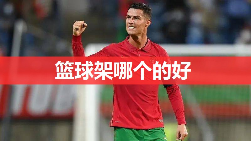 篮球架哪个的好 篮球架哪个的好