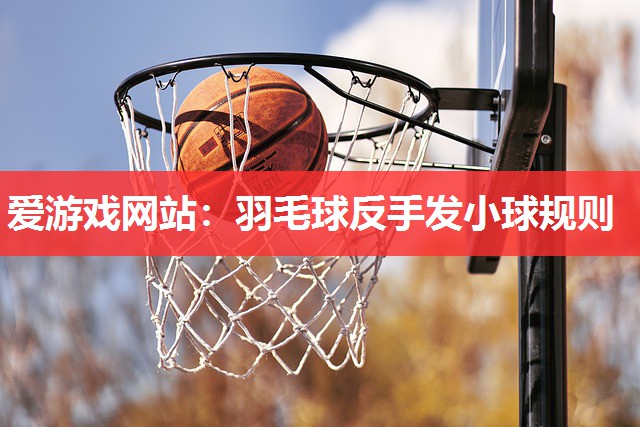羽毛球反手发小球规则 羽毛球反手发小球规则